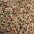 Birds Mini World Daily Seed Blend with Grains, Nuts and Advance Nutrition for Finch Sparrow Canaray Java, Dove 475 g