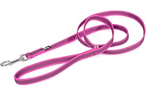 JULIUS-K9 Correa IDC Color & Gray con asa y anillo en D, 20 mm x 1,8 m, Rosa-Gris