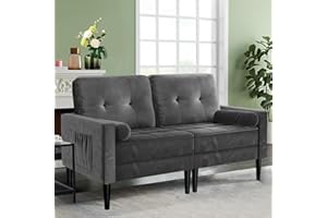 Aotumm Ciort 2-Sitzer-Sofa, Samt Couch mit 2 Kissen, Sitzkissen, Modernes Sofa in der Mitte des Jahrhunderts, kleine Sofas für Wohnzimmer/Wohnung/Schlafzimmer, Metallic-Grau