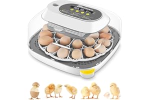 Sailnovo Incubadora para 24 Huevos con 4 Modos, Incubadora de Huevos con Volteo Automático y Monitor de Humedad, Lámpara de Huevo, Incubadora Huevos Gallina Vista 360° Ventana Transparente, Gris