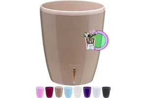Santino Maceta para Orquídeas Ø 12cm Maceta Autorriego con Sistema de Mecha e Indicador de Nivel de Agua para Interior (Ø 12cm - 1,3L - Arena)