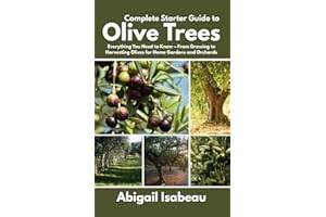 Complete Starter Guide to Olive Trees: Everything You Need to Know – From Growing to Harvesting Olives for Home Gardens and Orchards