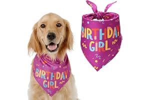 HAPPY HACHI Bandana per Cane Gatto Bavaglini per Cani Decorazione di Compleanno in Cotone Soffice Sciarpa per Animali Domestici Triangolare per Cani di Taglia Media Grande (79 * 50 * 50 cm, Viola)