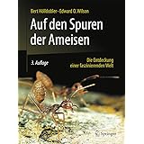 Auf den Spuren der Ameisen: Die Entdeckung einer faszinierenden Welt