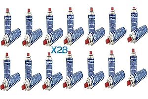 GENERICO Caja de 28 Cartuchos de válvula Gas butano B-250 Butsir