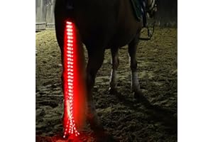 SSZYace Horse Equipment Riding Tail Trappings Equestrian LED Flashing Light Bar Harness Outdoor Sports USB Charge Riding Decorations (Red)