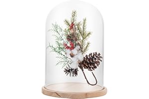 APACALI 1PCS Cloche en Verre avec Fond en Bois, Cloche décorative de 30 cm, Cloche en Verre Transparent, Cloche en Verre avec Fond pour lumières, décoration, Accessoires d'intérieur