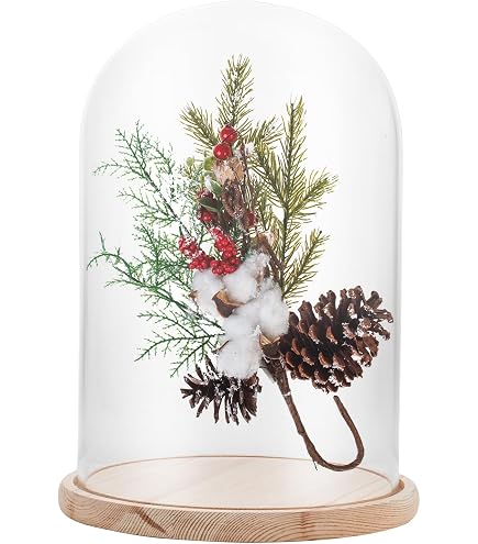 PATIKIL Cloche In Vetro Borosilicato Con Base In Legno Nero - Cupola Per Esposizione 12,5x9,1cm - Centrotavola Per Fiori, Candele E Collezioni
