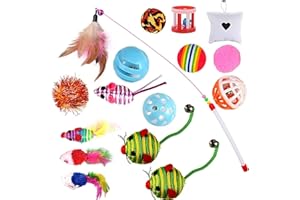 GOLDGE Cat Toys, Kitten Toys for Indoor, 16 Pcs Cat Interactive Toys Includes Cats Catnip, Balls, Mice, Feathers Wand Toys Set Gift for Cat and Kitty