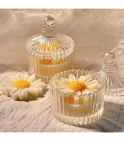 SWAROVSKI Bell Jar Display, Large, One Size, Multi Light : Amazon