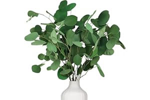 ‎ONING Oning Eukalyptus Getrocknet für Deko, 7-10 Pcs Natürliche Echt Silberdollar Eukalyptuszweige, 15-17'' Eucalyptus Dekoration Silberdollarblätter für Hochzeit, Haus Pflanz
