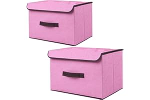 NCRGB Scatole Portaoggetti in Tessuto,Scatole Portaoggetti Scatole per Armadio con Coperchio Set,Pieghevole,Contenitore per Armadio,Vestiti,Armadi (36×23×24cm/2pack, Rosa)