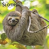 National Geographic Sloths 2021 Wall Calendar Amazon De Zebra Publishing Fremdsprachige Bucher