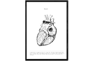 Nacnic Poster di anatomia in Bianco e Nero con immagini del Corpo umano. Piastra su biologia e Medicina con dettaglio Cuore. Dimensione A4. con Marco.
