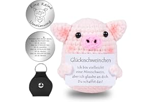 Aruigu Pocket Hug Glücksschweinchen, Kreative Strickwolle Minischwein Puppe und Kleine Umarmung Glücksbringer (Silber), Einschulung Geschenk, Gute Besserung Geschenk, Mutmacher Geschenk