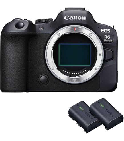 Canon EOS-1D X 18.1MP Full Frame CMOS Digital SLR Camera: Amazon