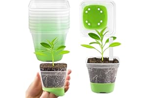 DOUUCO 24 Stück 8cm Anzuchttöpfe Pflanztöpfe anzucht Transparent mit Silikonsockel, Blumentöpfe Kunststoff Vierkant Mini Töpfe, Wiederverwendbar Anzuchtkasten für Sämlinge Sukkulenten Grün