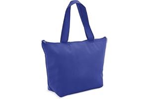 SV LIFE Bolsa Térmica, Nevera Plegable tamaño Pequeño | Cierre con Cremallera, Isotérmica Aislante, Mantiene Frío y Calor Alimentos | para Almuerzo, Escuela Niños, Oficina, Playa, Picnic (1ud, Azul)