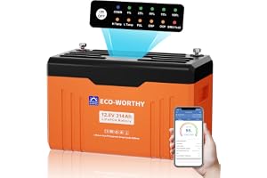 ECO-WORTHY 12 V 314 Ah LiFePO4 Bluetooth 4019Wh batteri med display 200 A BMS