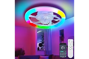 EKDADL RGB Reversibile Ventilatore da Soffitto LED 50CM Dimmerabile Ventilatore a Soffitto con Luce 3 Colori 6 Velocità Silenzioso Lampadario con Ventilatore da Soffitto con Luce