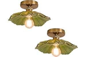 Dellemade Pack of 2 Chandelier, Flush Mount Ceiling Light, Clear Glass Shade Light Fixture, 1 Light Lighting Fixture for Bedroom,Dining Room,Kitchen, Hallway (Green)