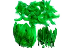 Pveath Federn zum Basteln, 250 Stück, farbige Federn, auffallende Federn zum Basteln, Traumfänger, natürliche Handwerksfedern für Hochzeit, Party, Dekorationen (3 Größen)