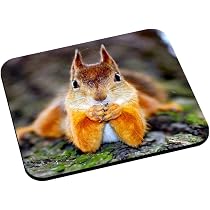 Tapis De Souris Renard En Forêt - Illustration Réaliste, Surface Lisse, Base Antidérapante - Décoration Bureau Nature Et Calme