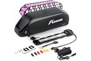 Adaluolo 48V 25AH Ebike Battery Removable Electric Bike Battery Large Capacity Lithium ion Batteries with Charger, BMS, Indicator Light, 5 Pin Base Plate for 500W 750W 1000W 1500W 1800W Motor