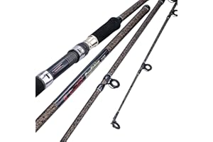 Sougayilang - Canna da pesca per carpe, Porable High Carbon 4 Pc vergini per viaggi, acqua dolce e salata