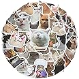 cobee Funny Cat Stickers Set, 50 Pcs Cute Cat Decals Waterproof Vinyl Stickers Aesthetic Decals for Cat Lovers Water Bottle Scrapbook Phone (Cat Shape)