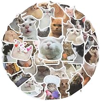 50/100 pz Divertente Gatto Meme Adesivi Bottiglia D'acqua Gattino Adesivi Laptop Bagagli Notebook Skateboard Vinile Impermeabile Decalcomanie Per Auto
