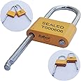 RAIBEX® Container Padlock Seal 50 PCS | Cargo Padlock Seal Truck Seal Container Seal Lock Security Padlock Seal | Orange Color (50 PCS) |