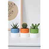 Polka Dot Concrete Flower Pot Triple Set Small Size Succulent Pot (Orange)