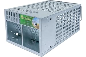 Ogetok Humane Rat Trap Cage, Multi-Catch Live Mouse Cage Trap for Indoor Outdoor, No Kill No Harm Safe Catch, Reusable Effective Catch Mousetrap for Mice Squirrel Mole and Small Rodent Animals, Silver