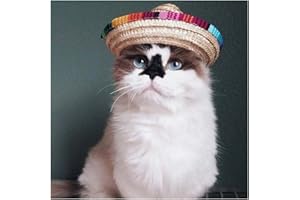SOBOTOO Sotoboo - Cappello sombrero per cani messicani e gatti, con fibbia regolabile, per animali di piccola taglia (1 pezzo, cotone)