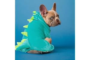 LAKWAR Costume da dinosauro per cani di piccola taglia, costume da cucciolo divertente, comoda felpa con cappuccio da dinosauro, vestiti invernali caldi e leggeri per Halloween (verde, M)