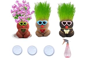 GENERIC (3 Pièces) Mini Bonsaï Répulsif pour moustiques, Poupée Herbe Longue, Mini Bonsaï, plante Poupée Tête d'herbe avec Plateau, plante en pot pour enfants, plante verte (floraison)
