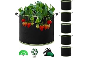 QCR Pack of 6 38 L Plant Bags for Tomatoes, Multi-Purpose Non-Woven Fabric Pots with Durable Handles, Garden Greenhouse Plant Bag, Plant Pot for Vegetables, Fruit, Flowers, Herbs, Succulents