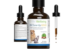 Pet Wellbeing BM Tone-Up Gold for Cats - Supports Healthy Digestive Function, Solid Stools, Normal Bowel Movements, Bayberry, Oregon Grape - Veterinarian-Formulated Herbal Supplement 2 oz (59 ml)