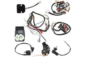 JRL GY6 125cc/150cc Buggy Scooter Wiring Harness Wire Loom Stator Electrics Kit