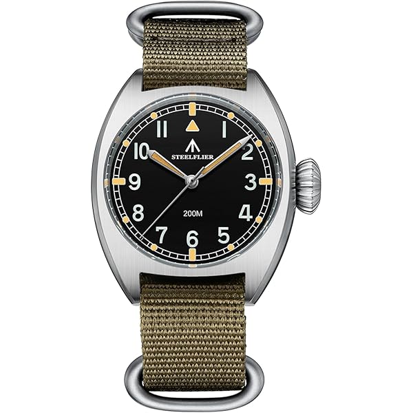 Buy TACTICAL FROG Baltany Dirty Dozen Watch Men 36MM VD18 Quartz