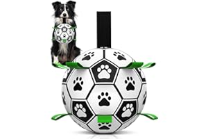 HETOO Interactive Dog Football Toys with Webbing, Durable Dog Water Balls for Small Medium Breed, Indoor & Outdoor (6 Inch)