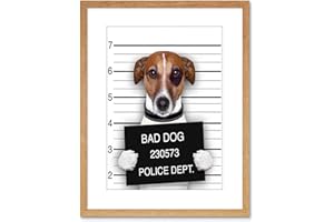Wee Blue Coo Jack Russell Dog Mugshot Police Picture Photo Framed Wall Art Print