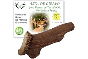 ARTISAN GIFT CO Asta de Ciervo para Perros, Mordedores 100% Naturales - Peso Unidad 295 gr. + (XXL - 1 und.)