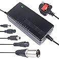 Winric Electric Scooter Charger, 54.6V 2A Charger, Lithium Battery Charger, Scooter Battery Charger Power Adapter, for Electric Balance Scooter,Battery Charger with Led Indicator