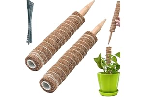 BECHOICEN Moss Pole, 2Pcs Coir Totem Pole Plant Support Totem Pole Moss Pole for House Plants Moss Pole for Cheese Plant with 20 Pieces Garden Cable Ties,19.6inch