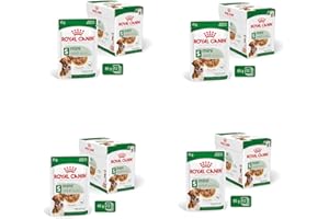 Royal Canin Mini Adult w sosie | 4 sztuki | 4 x 12 x 85 g | mokra karma dla małych, dorosłych psów (do 10 kg) | 10 miesięcy – 12 lat | dostosowana zawartość energii