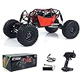 TOUCAN RC HOBBY RTR RC 1/10 Scale Off-road Truck 4 * 4 Remote Control Rock Crawler Electric Truck