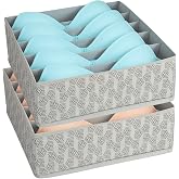 HomeStrap Bra Organizer For Drawers|6-Slot Non-Woven Foldable Undergarment Storage Box For Padded Bras,Lingerie,Scarves,Cloth