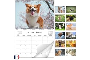 AEYAKA Calendrier Mural Chiens 2026 – Photos de Chiens Adorables, Format A3 Ouvert, Organiseur Familial et de Bureau,Idéal pour les Amoureux Français
